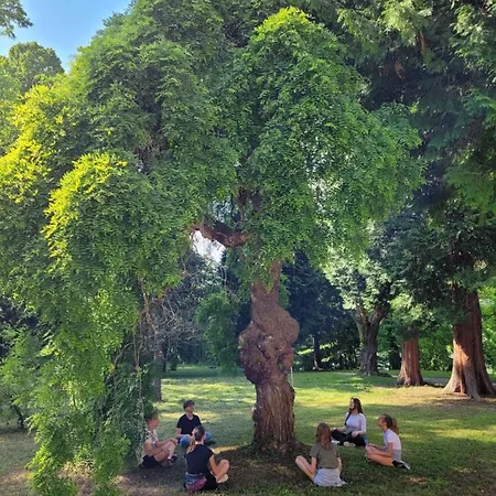 Ribiska Vasica - Fishermen's Village 度假居 Radece