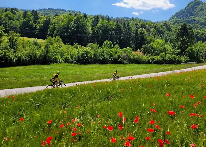 Casa de Férias Ribiska Vasica - Fishermen's Village